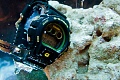 Нажмите на изображение для увеличения
Название: subcrew-casio-gshock-sharkmarine-dw6900-2.jpg
Просмотров: 275
Размер:	137.4 Кб
ID:	181993