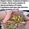 Нажмите на изображение для увеличения
Название: WhatsApp Image 2024-04-19 at 09.51.07.jpeg
Просмотров: 421
Размер:	211.4 Кб
ID:	3699046